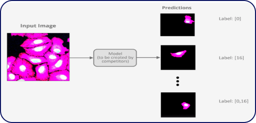 Award-Winning AI Innovation