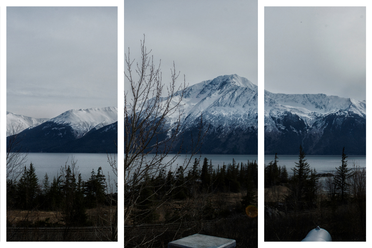 Use of Homography Matrix for image stitching