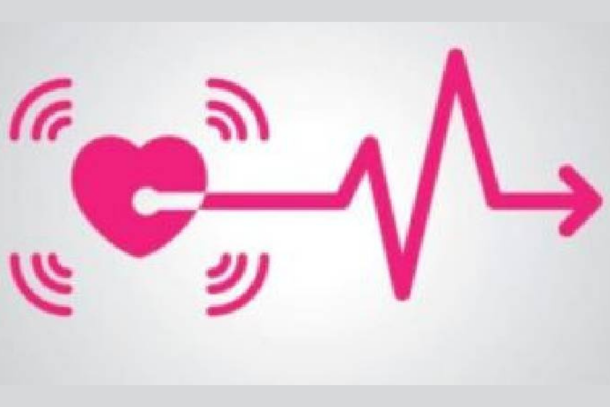 ECG Monitor Prototype